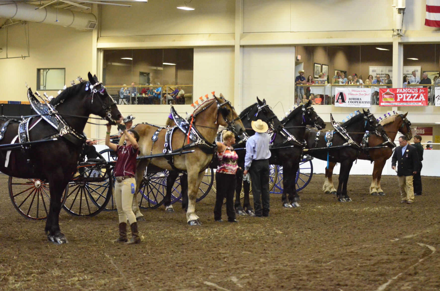 8-25-19 Draft Horse Hitch Final (40).JPG